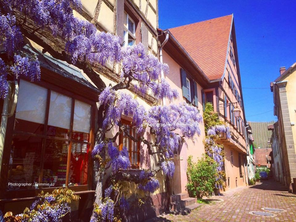 VoyagebyJJ-鲁瓦西必去景点