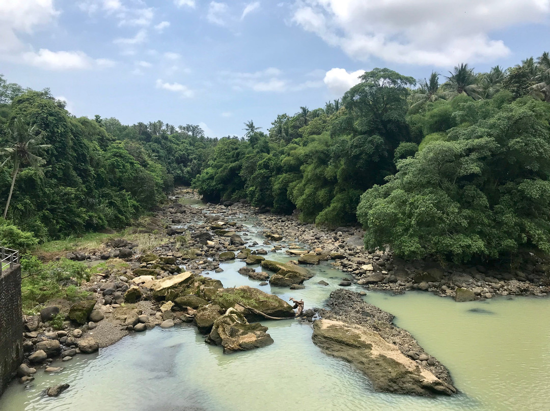 Bali Rice Padi-巴厘岛必去景点