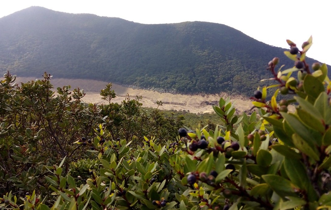 Mount Gede Pangrango National Park景点图片