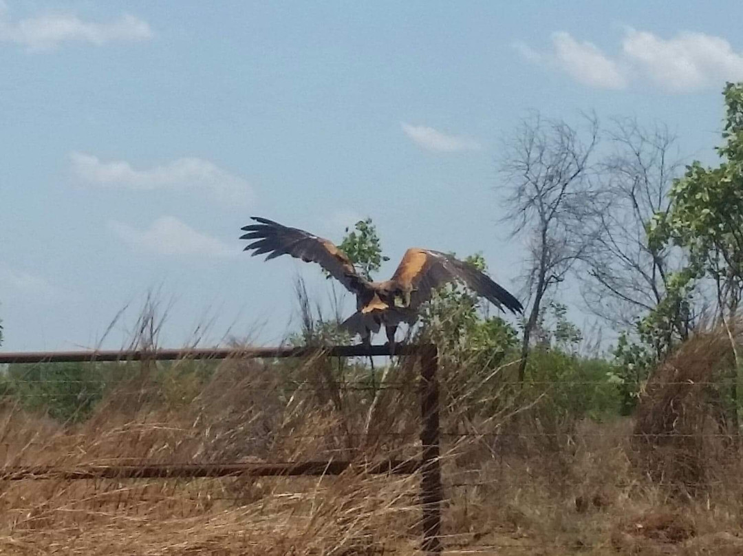 Tjuwaliyn (Douglas) Hot Springs Park-Douglas-Daly必去景点