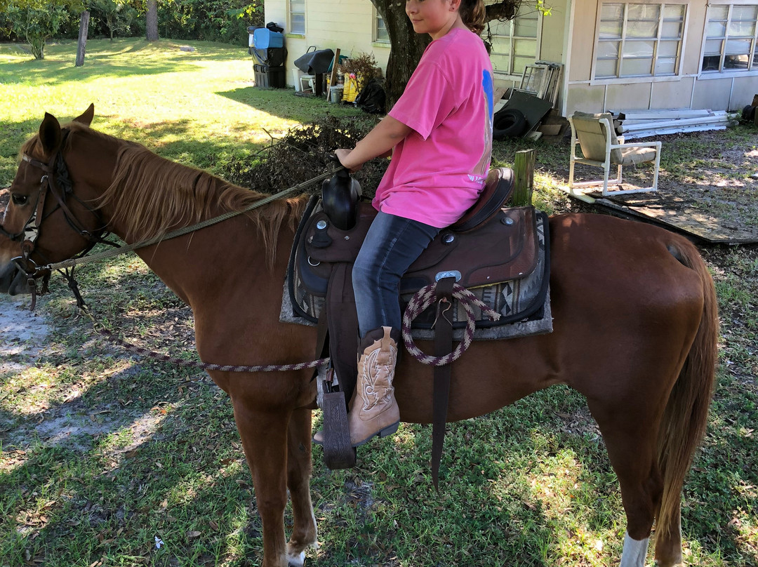 Kickin' Spurs Rodeo-Mulberry必去景点