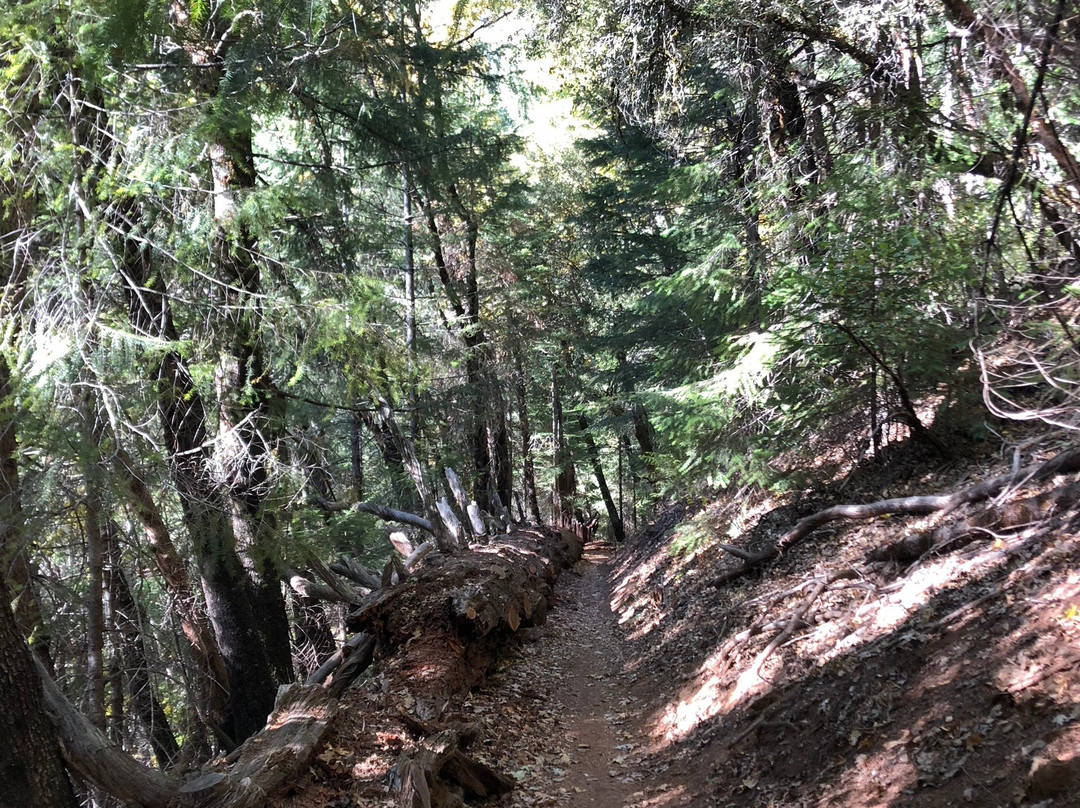 The Downieville Downhill-Downieville必去景点