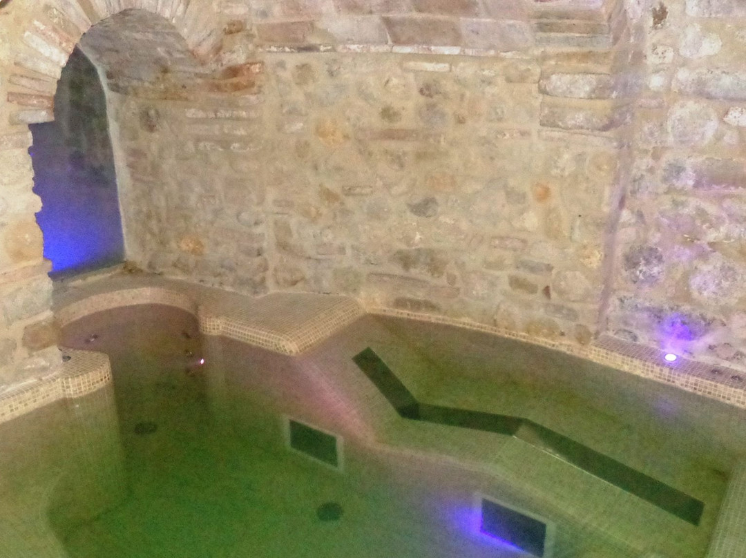 贝娜色丽欧斯特城堡酒店主图