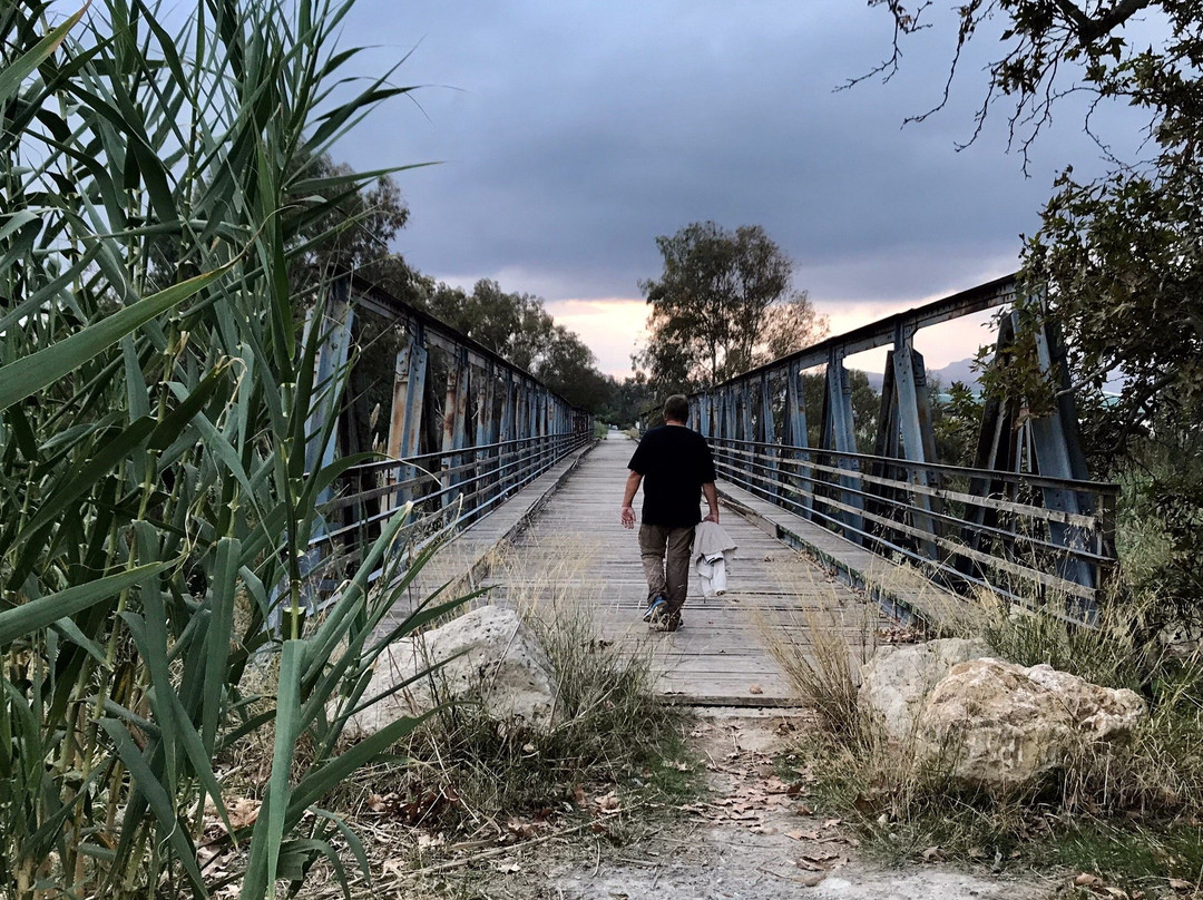 Tavronitis Bridge-Tavronitis必去景点