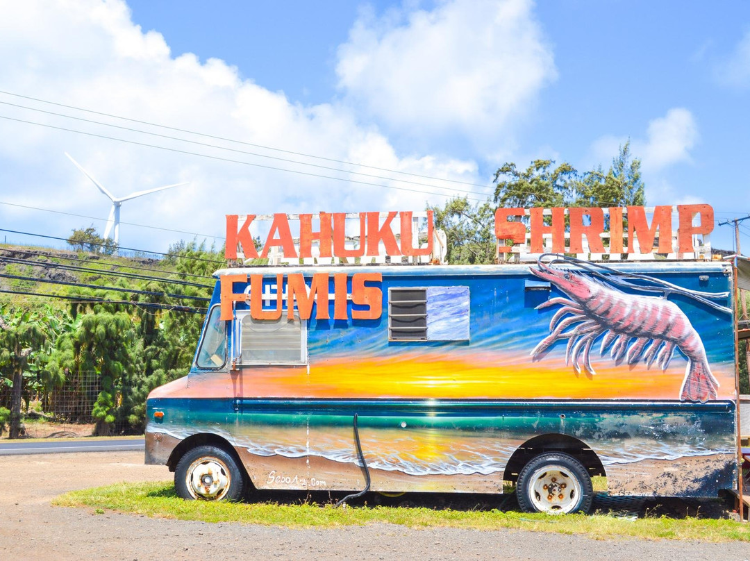 Hi Hawaii Travel-火奴鲁鲁必去景点