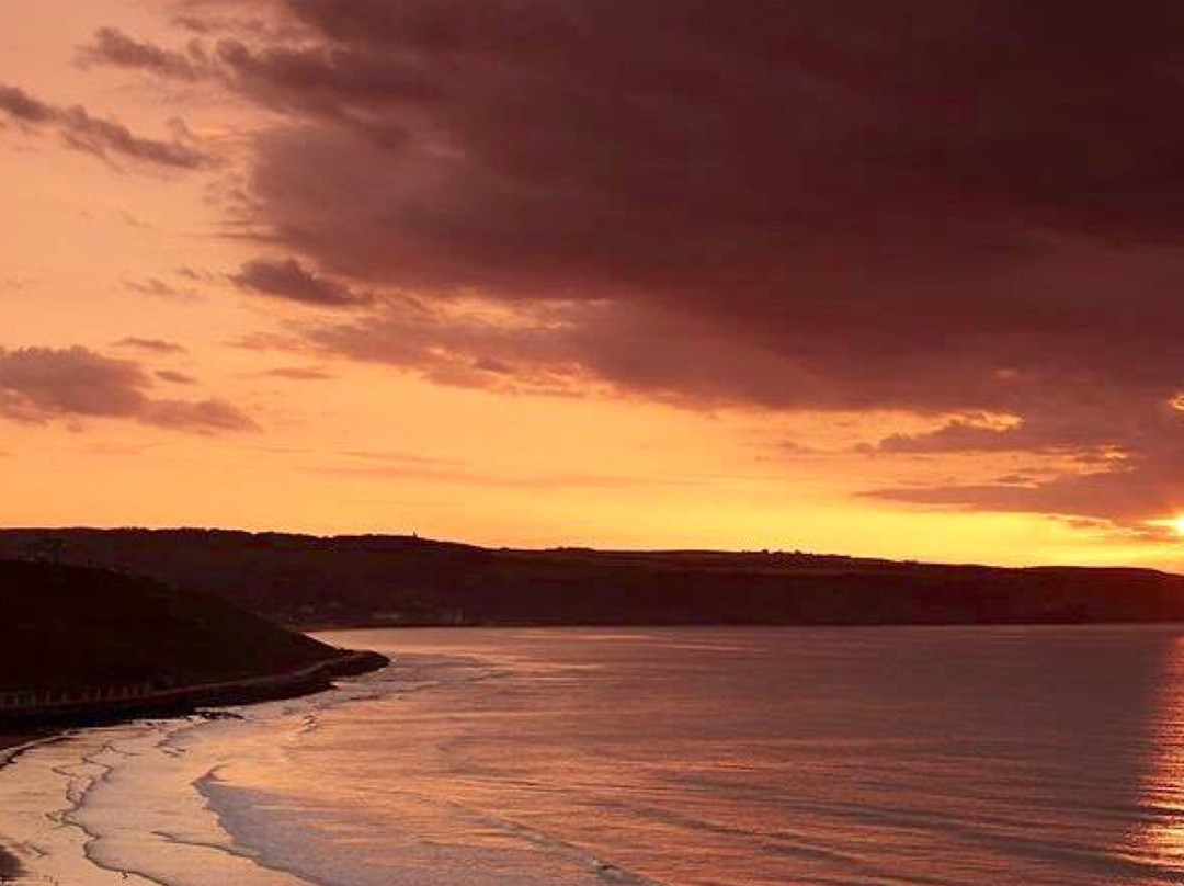 Whitby Surf School景点图片