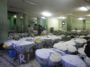 Rawa Belong Flower Market景点图片