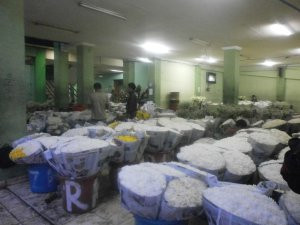 Rawa Belong Flower Market-雅加达必去景点