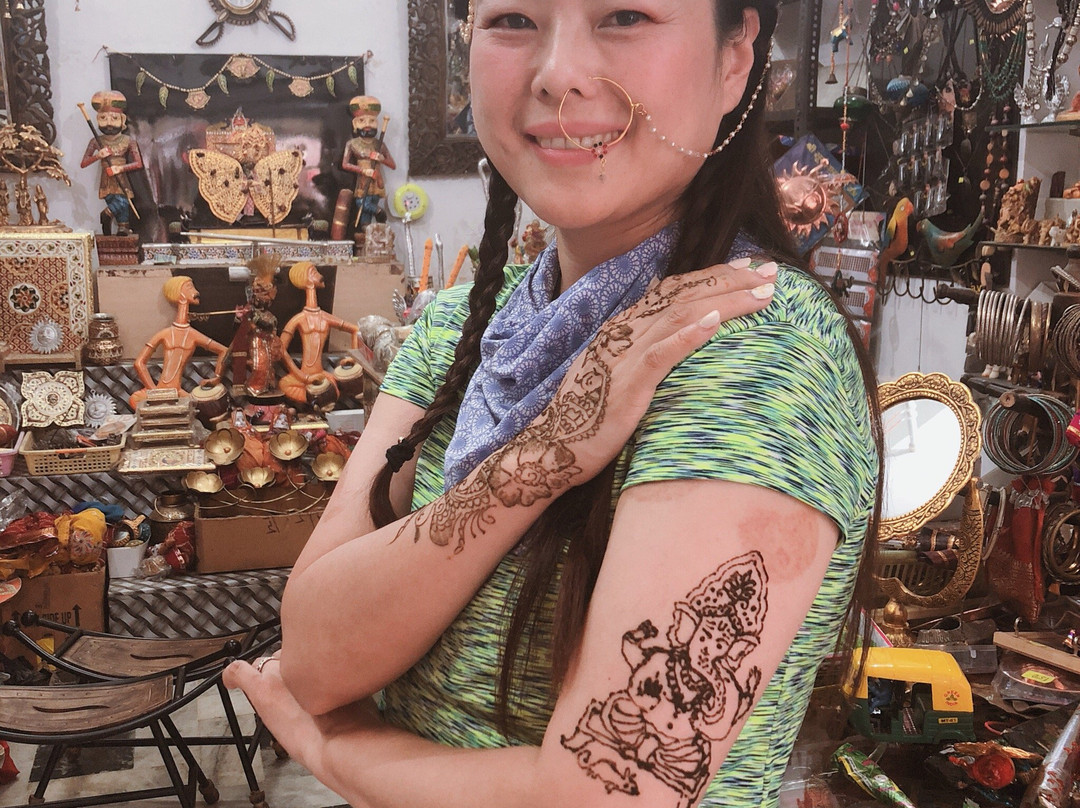 Raj Heena Painting景点图片