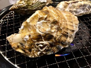 どんさん亭 足利南店