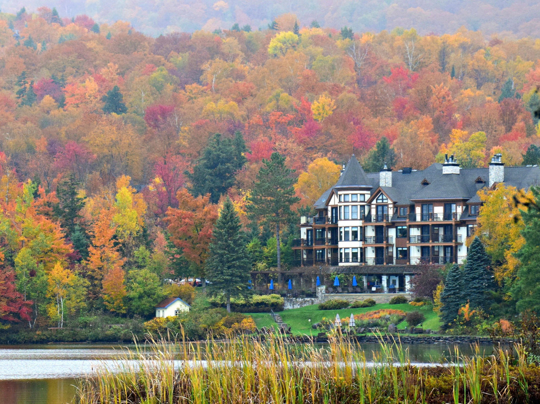 Hôtel Quintessence主图