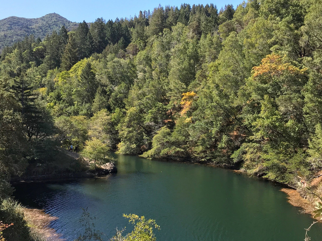 Phoenix Lake景点图片