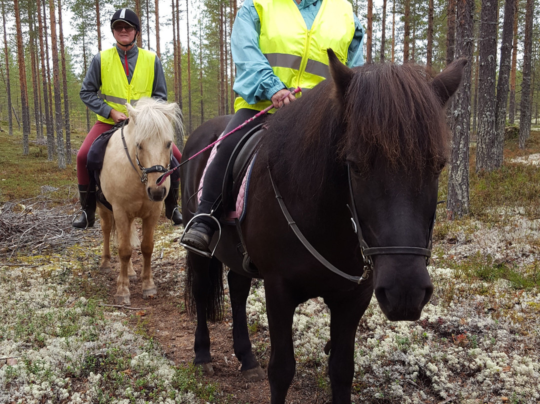 Kainuun Vaellustalli-Sotkamo必去景点