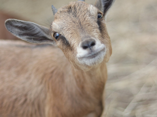 Feijao Verde Fun Park-科英布拉区必去景点