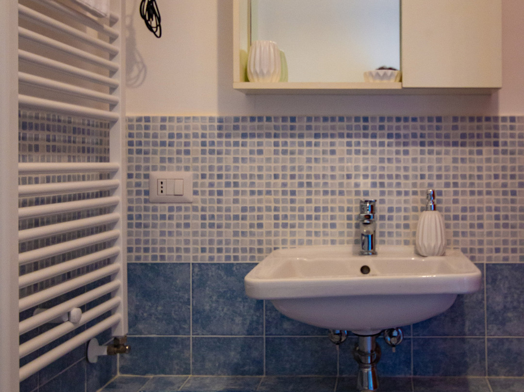 B&B La Camelia - CIN IT083105C1XSLDNXXL主图