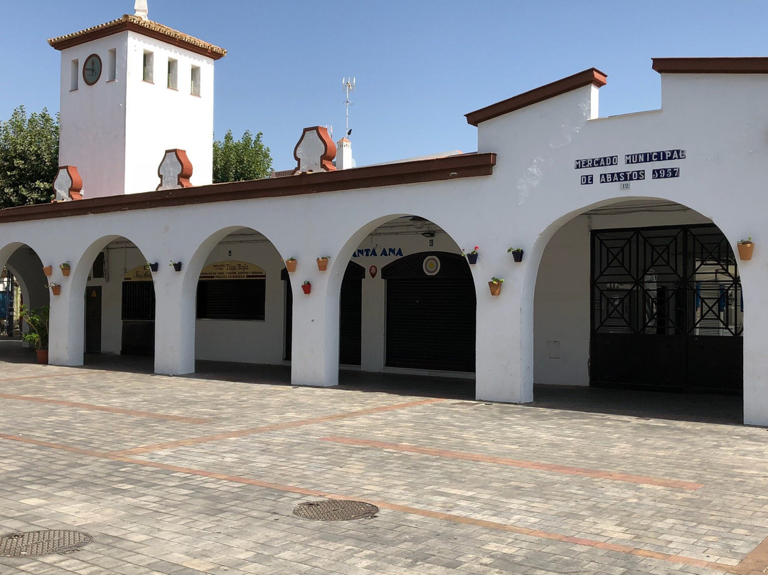 Mercado Municipal de Abastos景点图片
