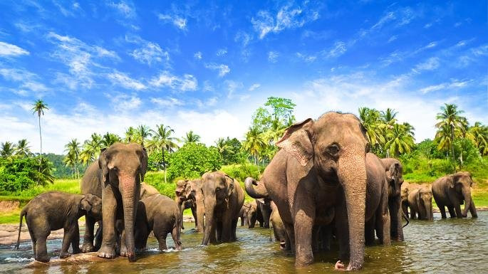 Colombo Tours景点图片