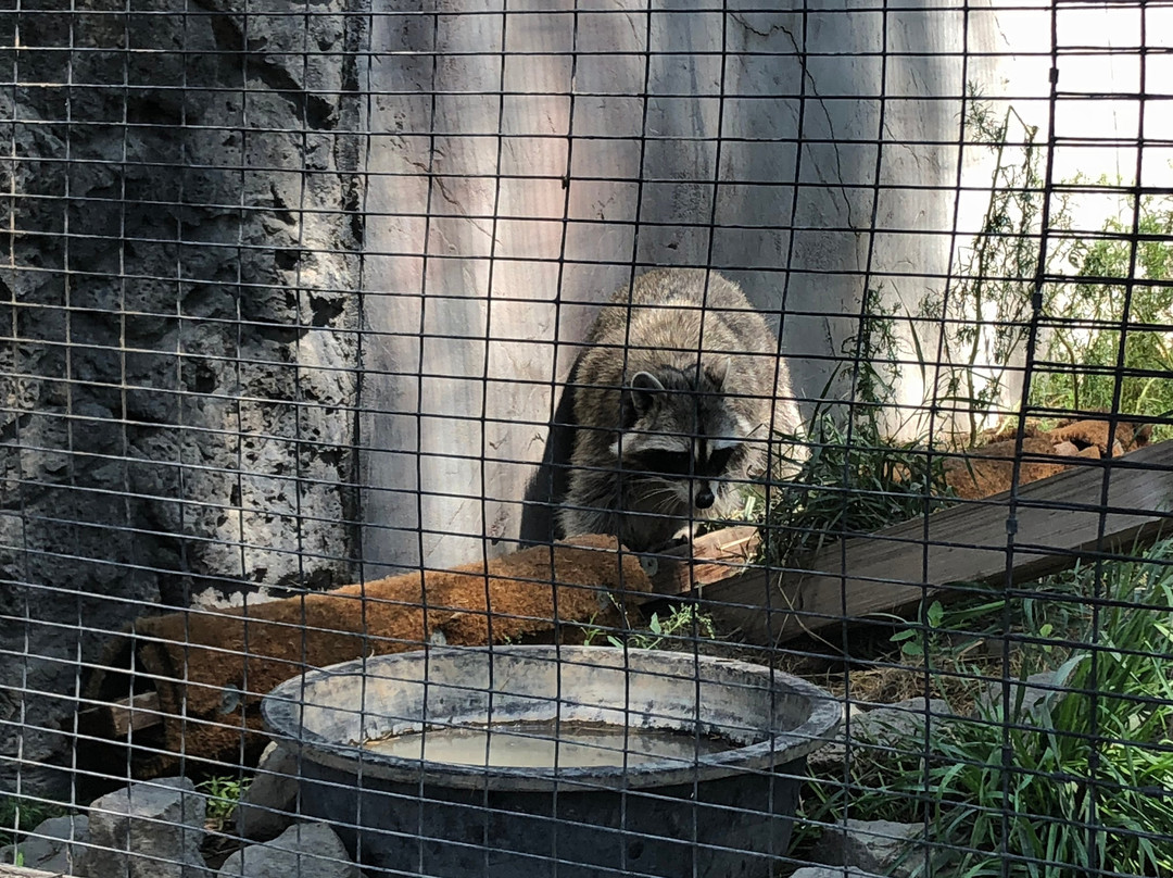 Zoo Idaho-波卡特洛必去景点