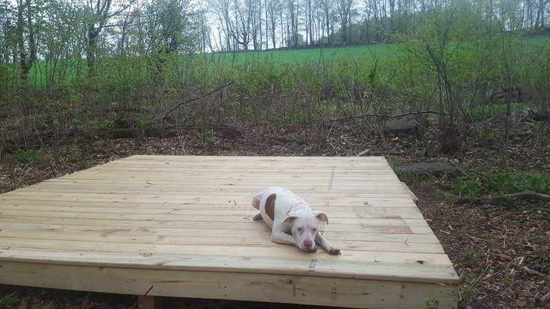 Mountain View Dairy-Bloomville必去景点