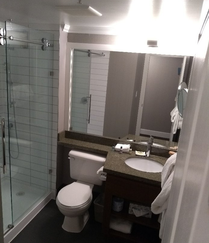 Sandman Hotel Langley主图