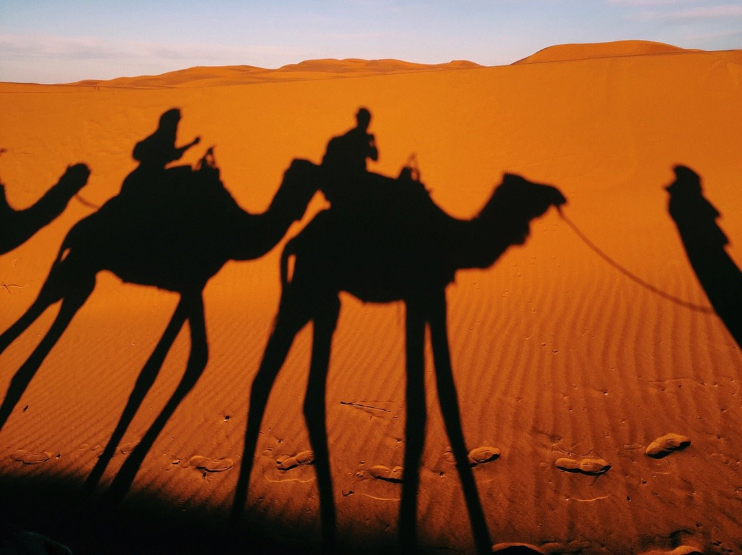 Discover Morocco Trips-非斯必去景点