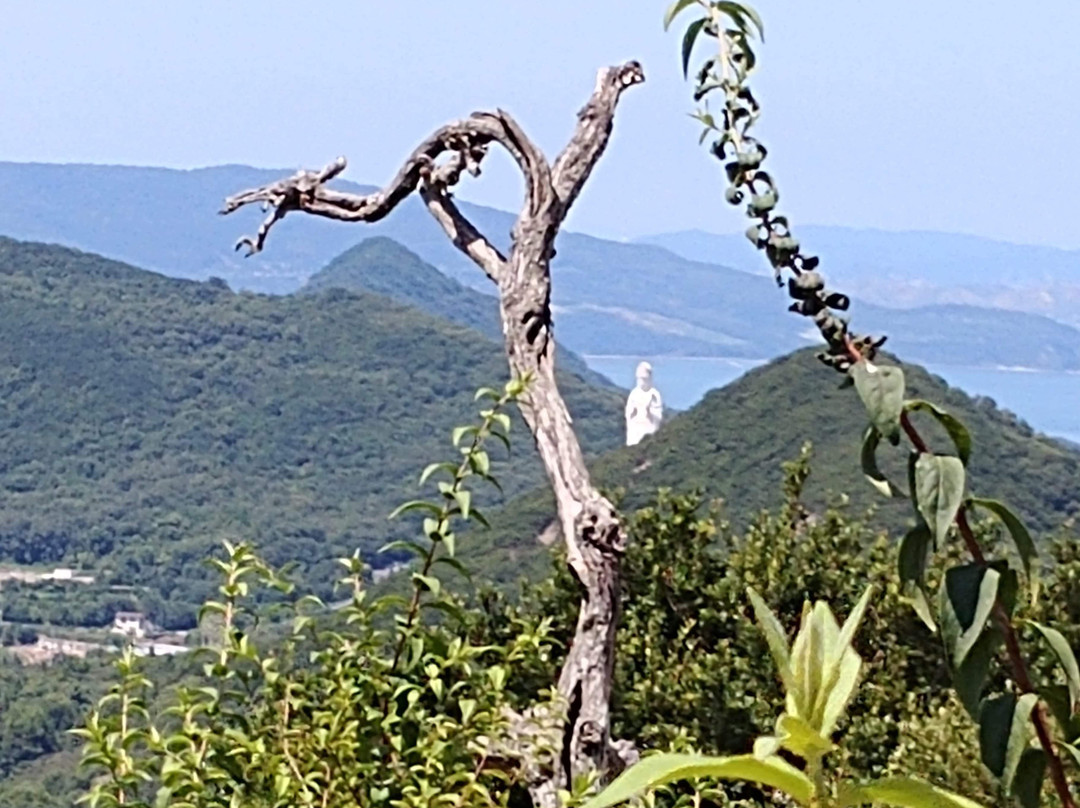 Shodoshima Daikannon景点图片