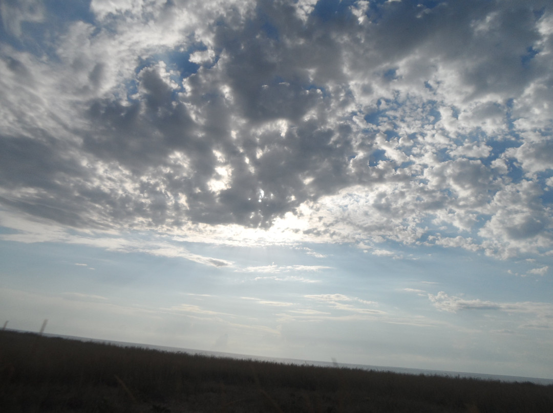 Azov-Sivash National Park景点图片