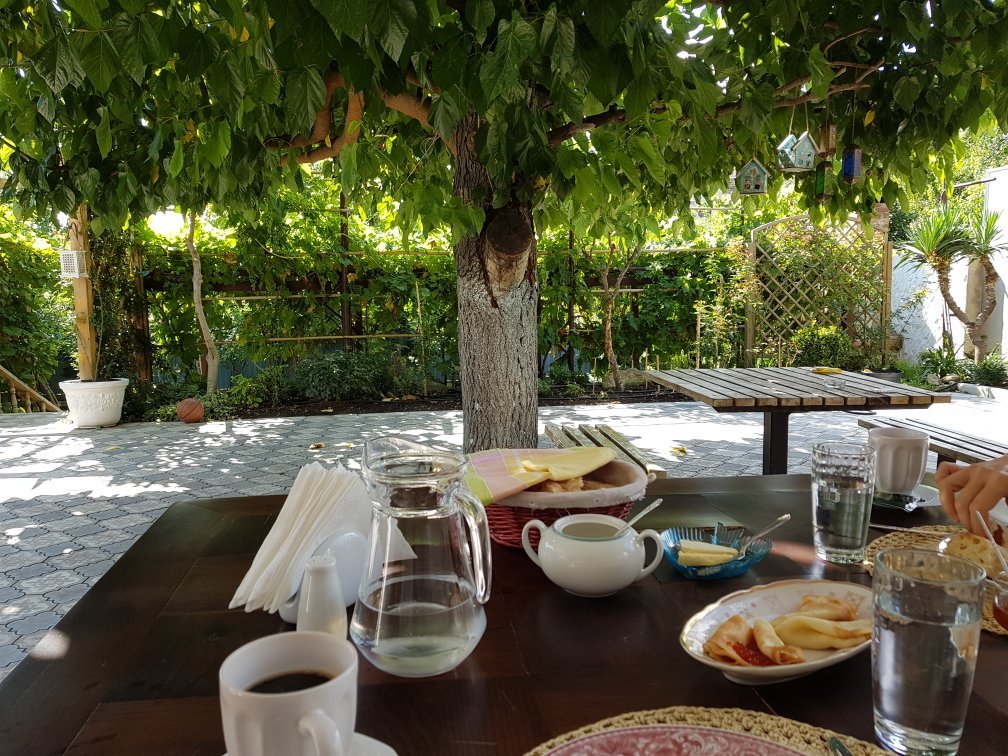 My Garden-官方