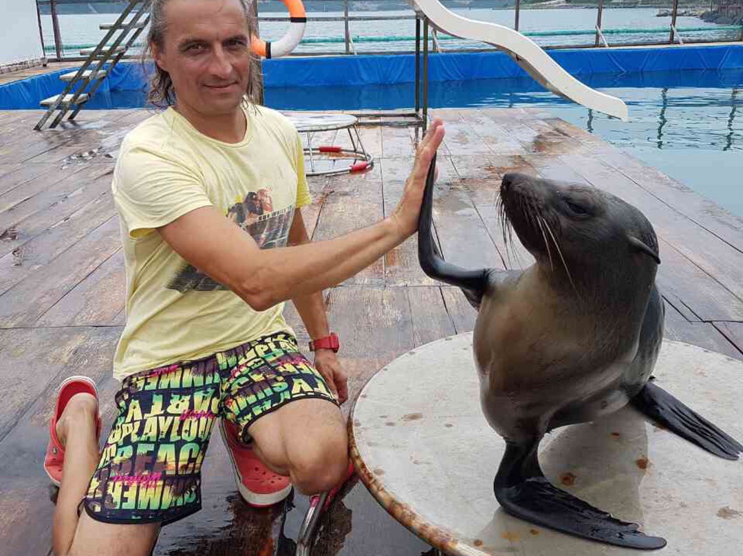 Seals Show-芽庄必去景点