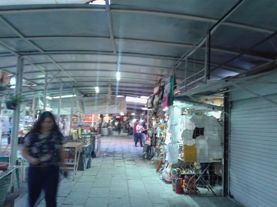 Chapala Handicrafts Market-Chapala必去景点