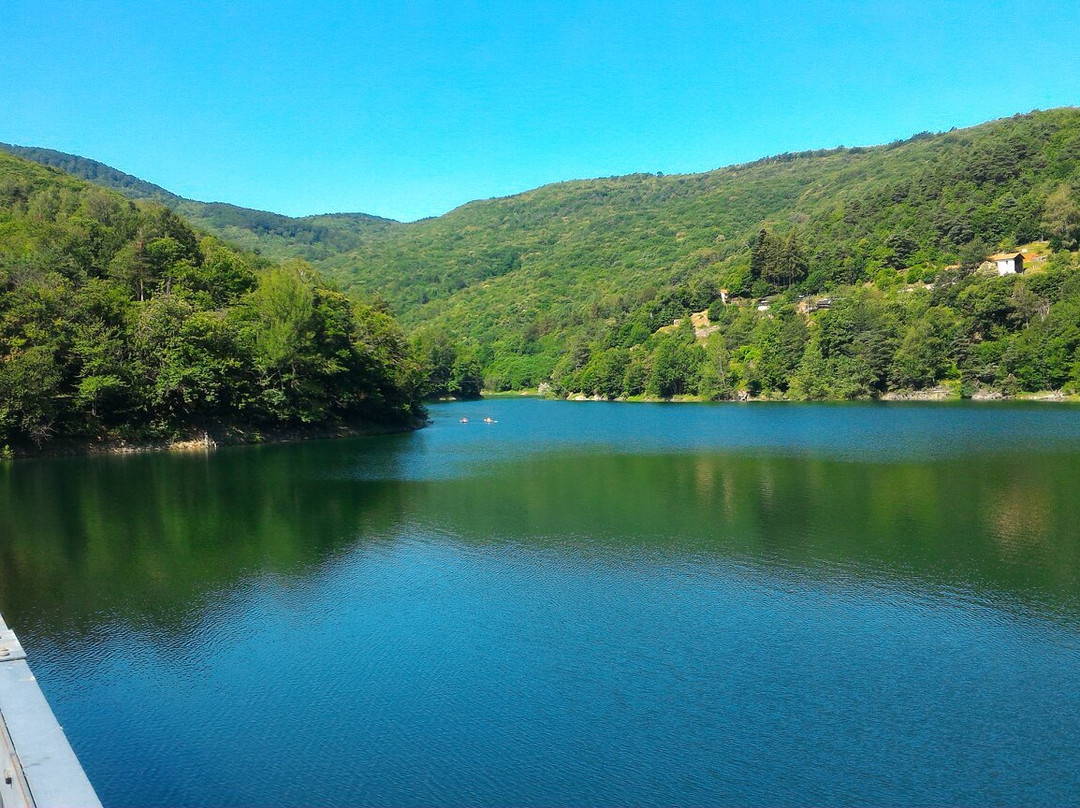 Lago di Osiglia景点图片