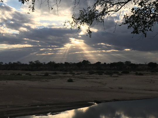 Vula Safaris-尼斯普鲁特必去景点