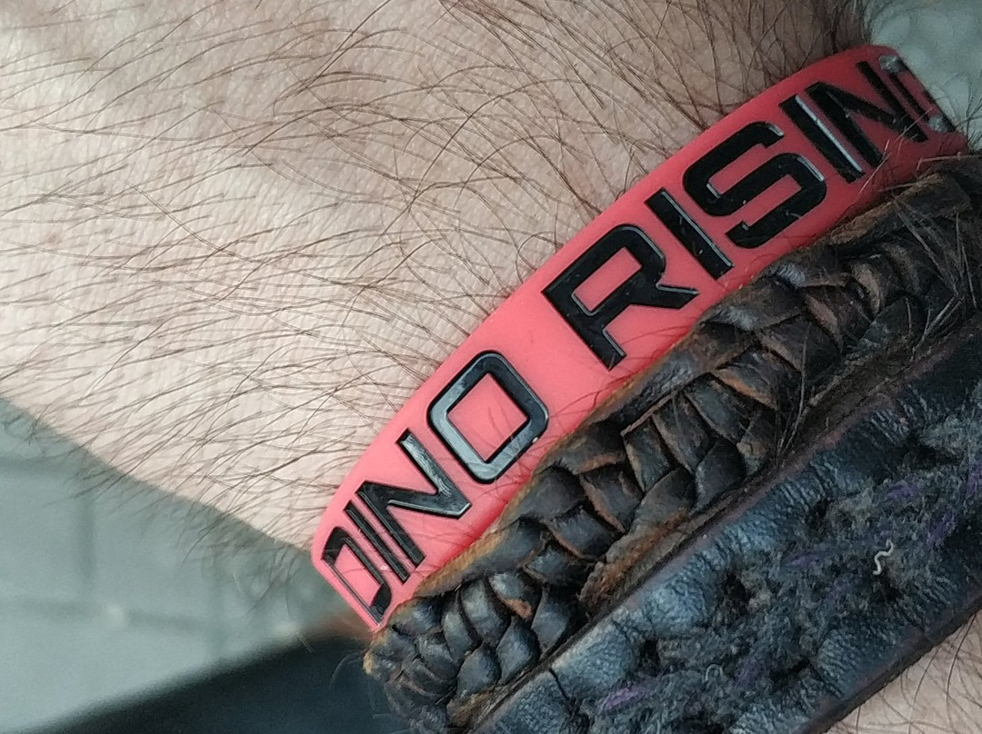 Dino Rising景点图片