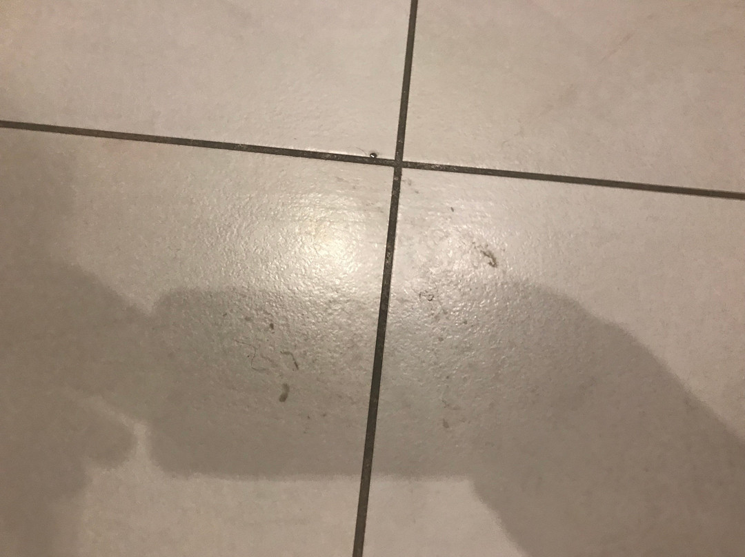 瑞士莫莱拉酒店主图