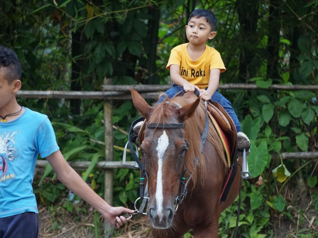 Bale Kuda Stable-Sleman District必去景点