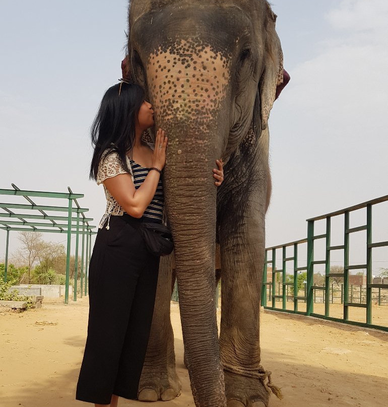 EleJaipur-斋蒲尔必去景点