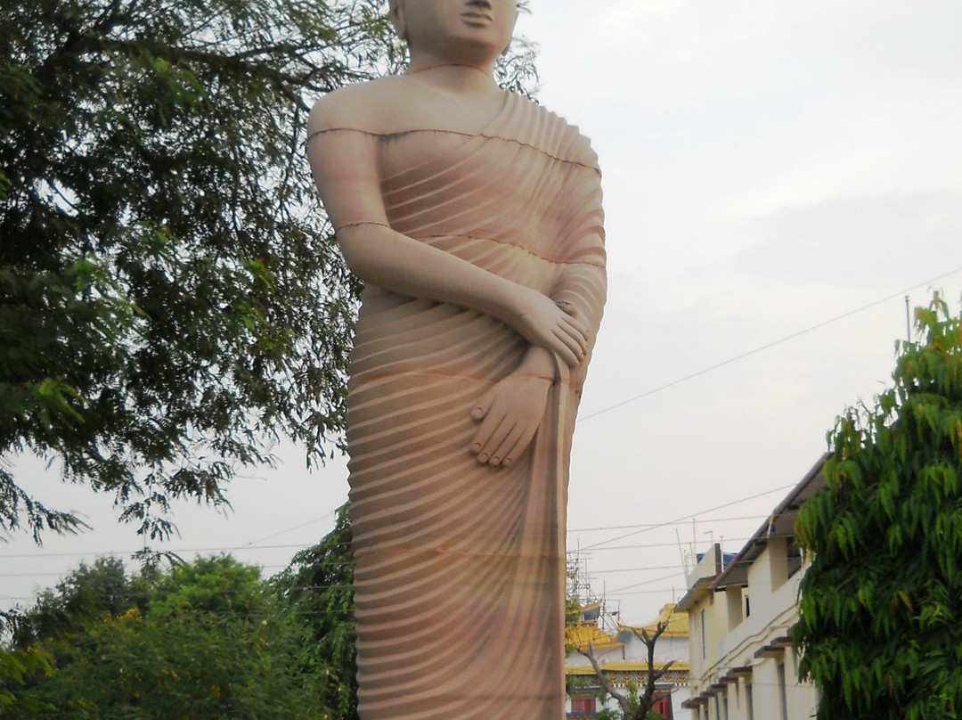 Bodhi Tree-菩提伽耶必去景点