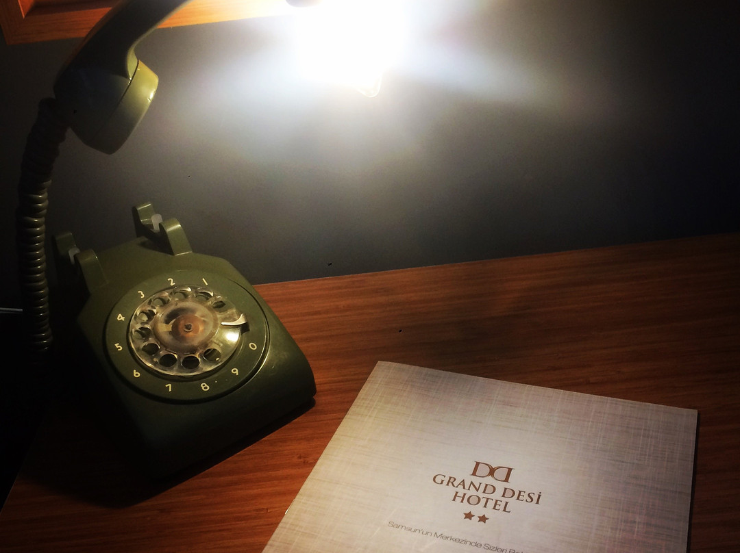 Grand Desi Hotel主图
