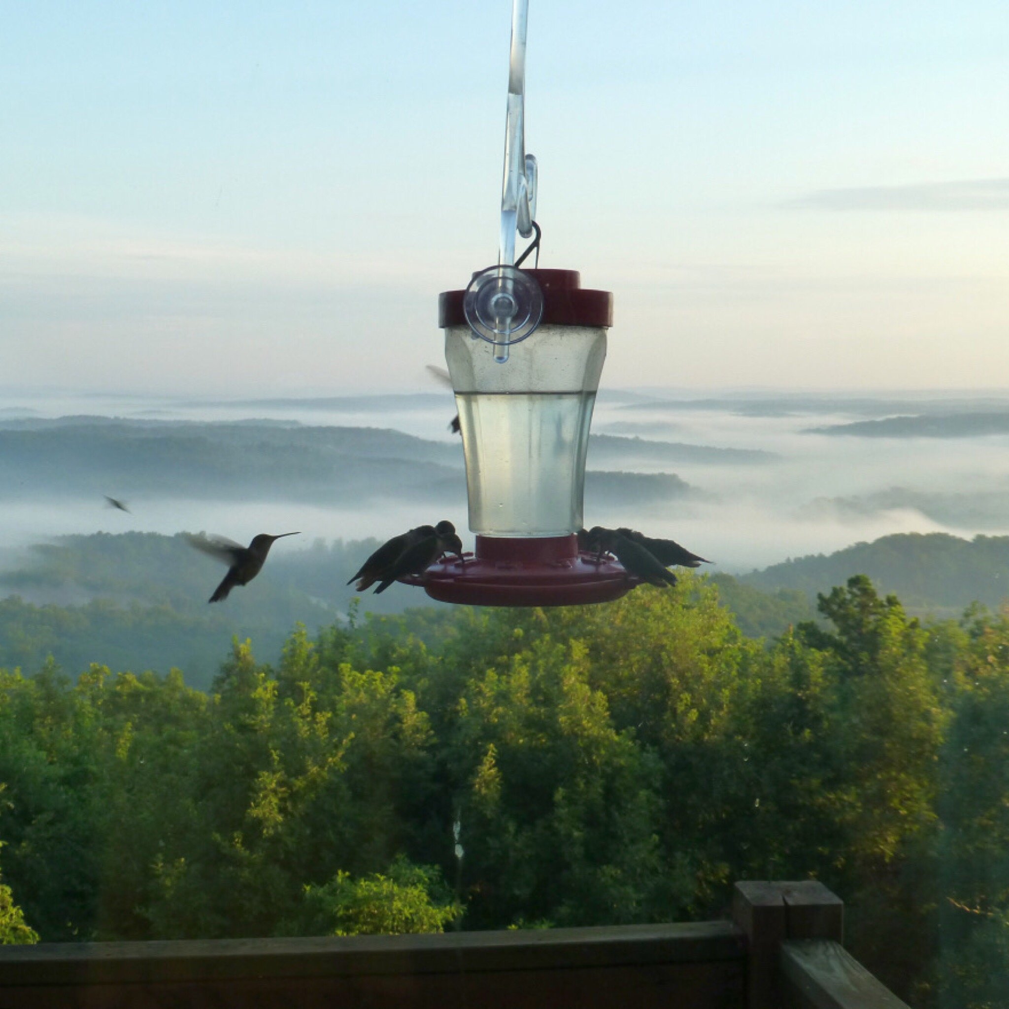 Skyline Drive Vacation Rental-官方