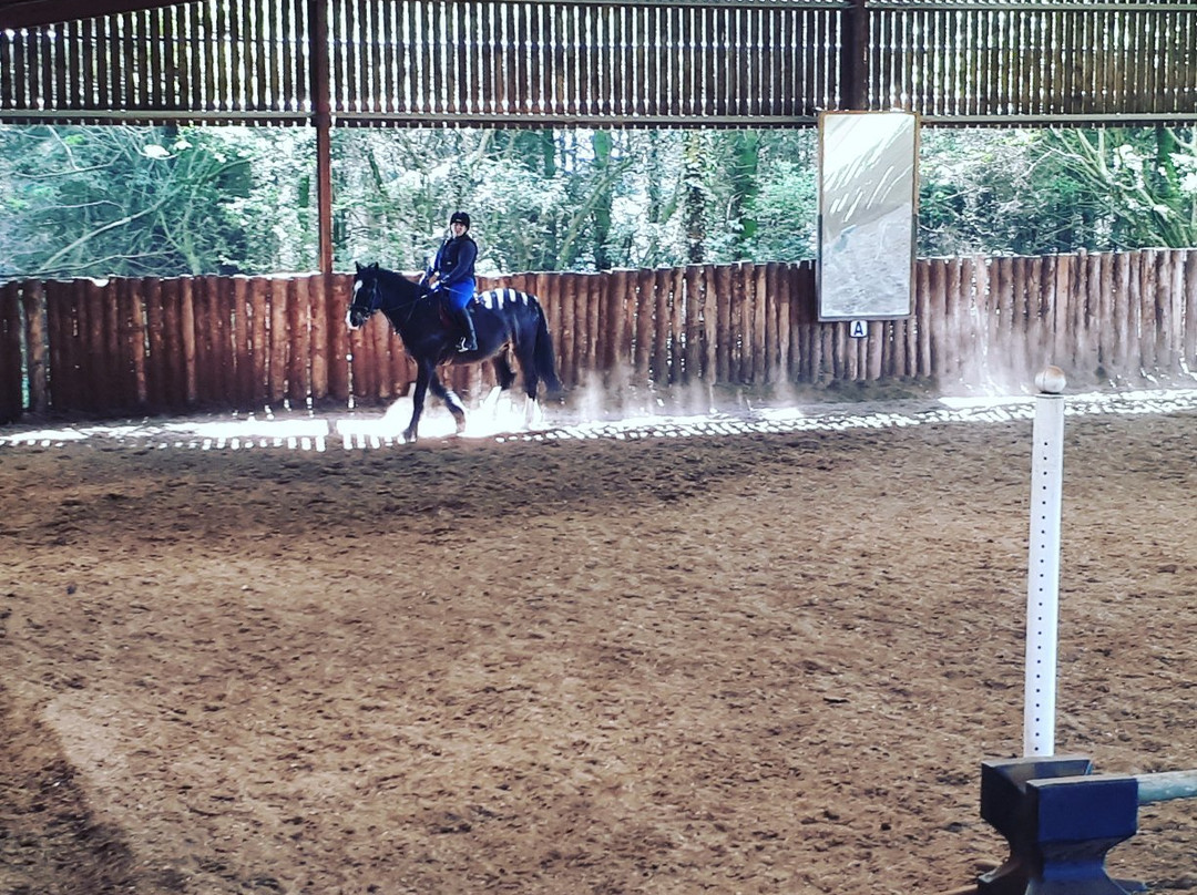 Friar's Hill Riding Stables-Sinnington必去景点