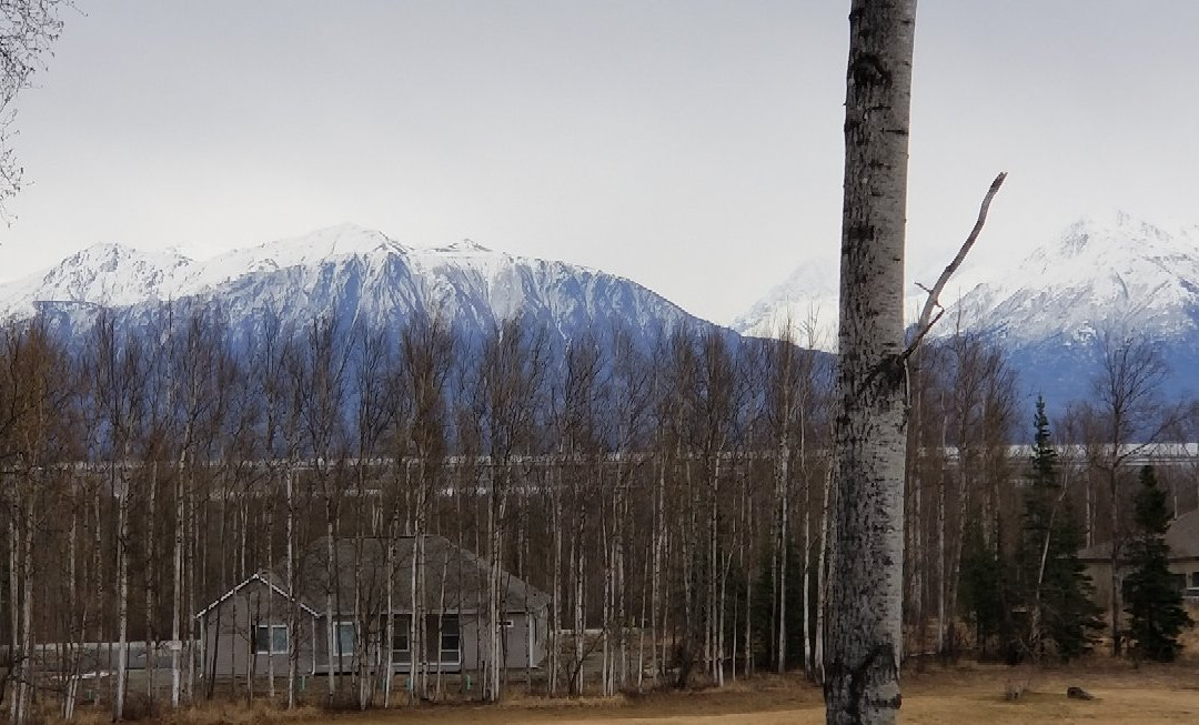 Alaska's Wasilla Bed and Breakfast主图
