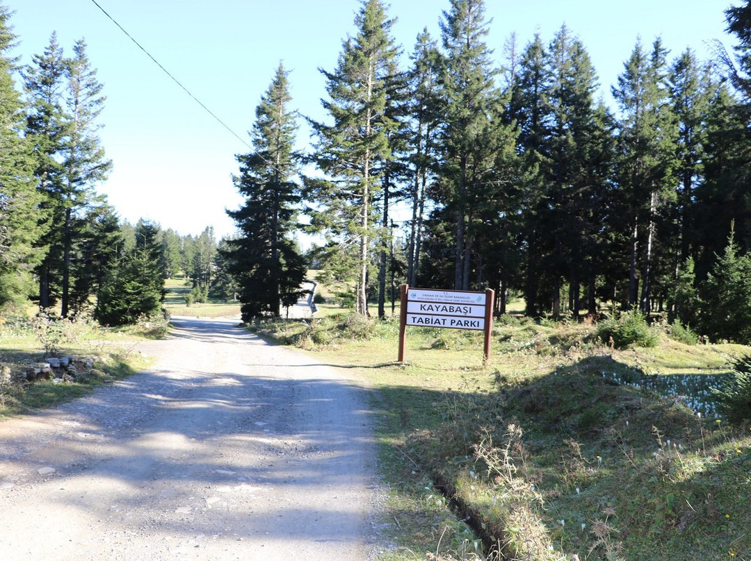 Kayabasi Tabiat Parki