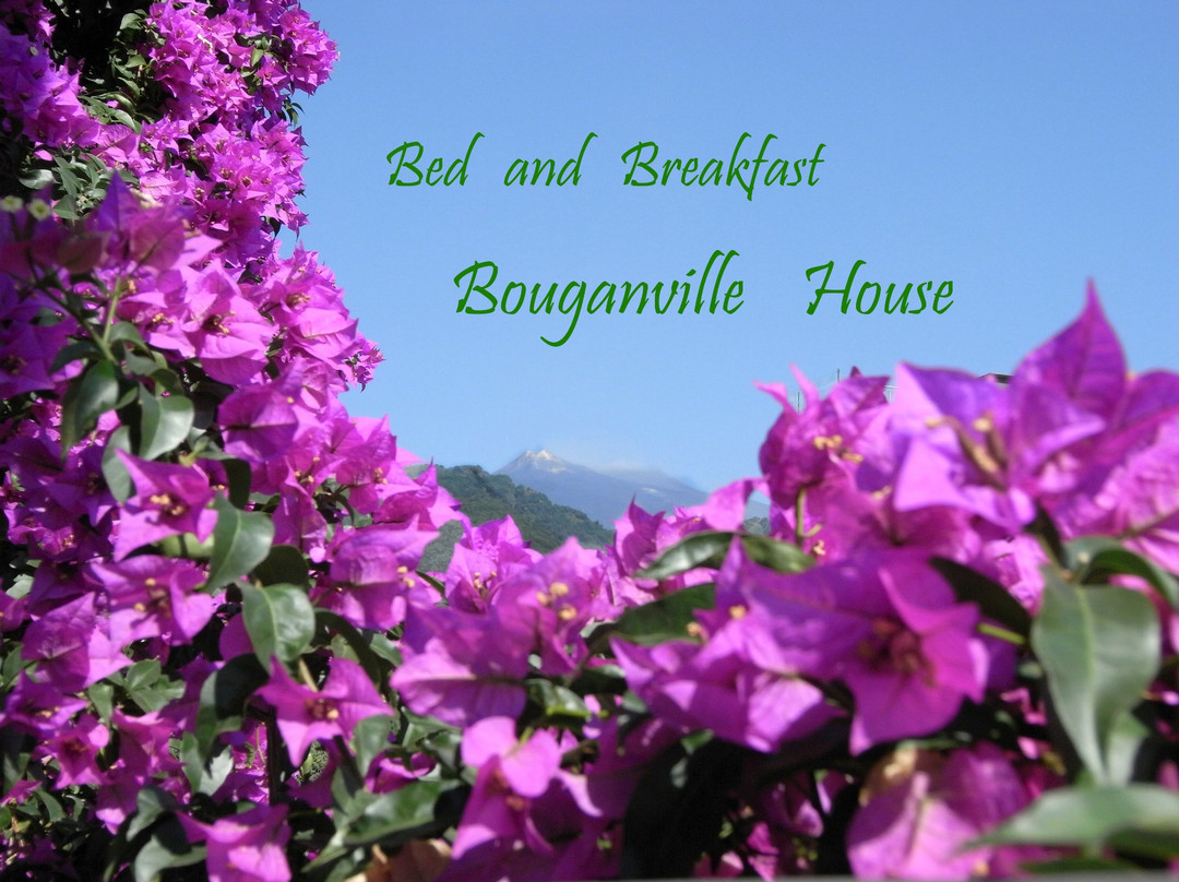 Bouganville House