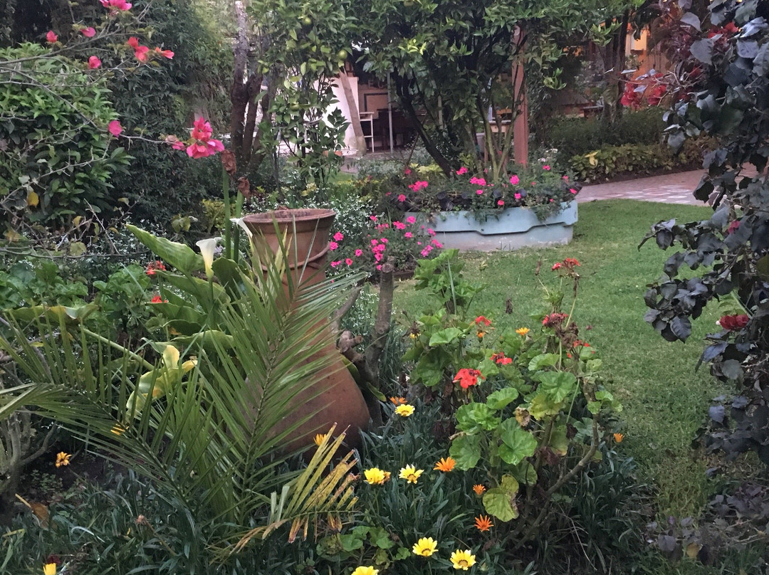 Hostal El Parque主图