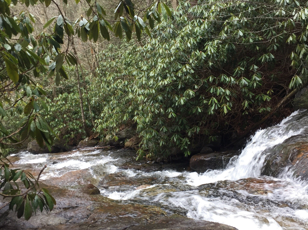 Glen Onoko Falls Trail景点图片