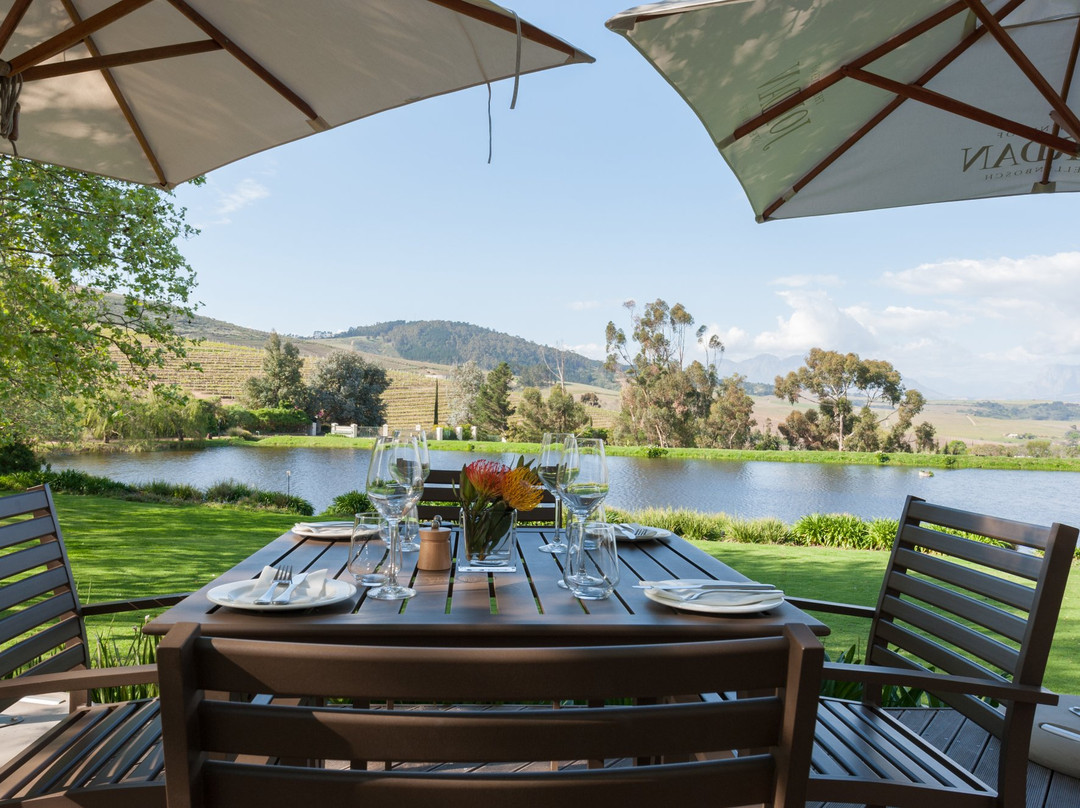 Vlottenburg餐馆和美食-The Cellar Door