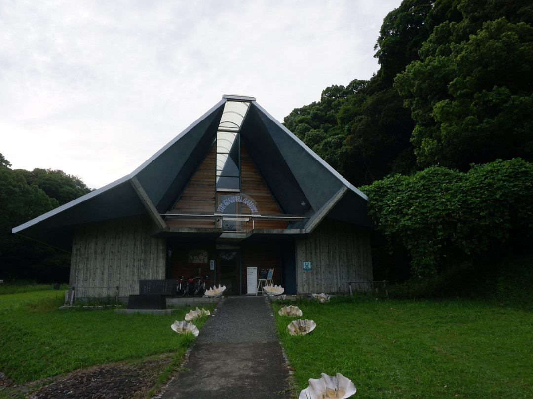 Gallery of the Sea