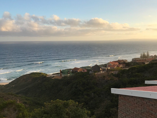 Lilies & Leopards B&B主图