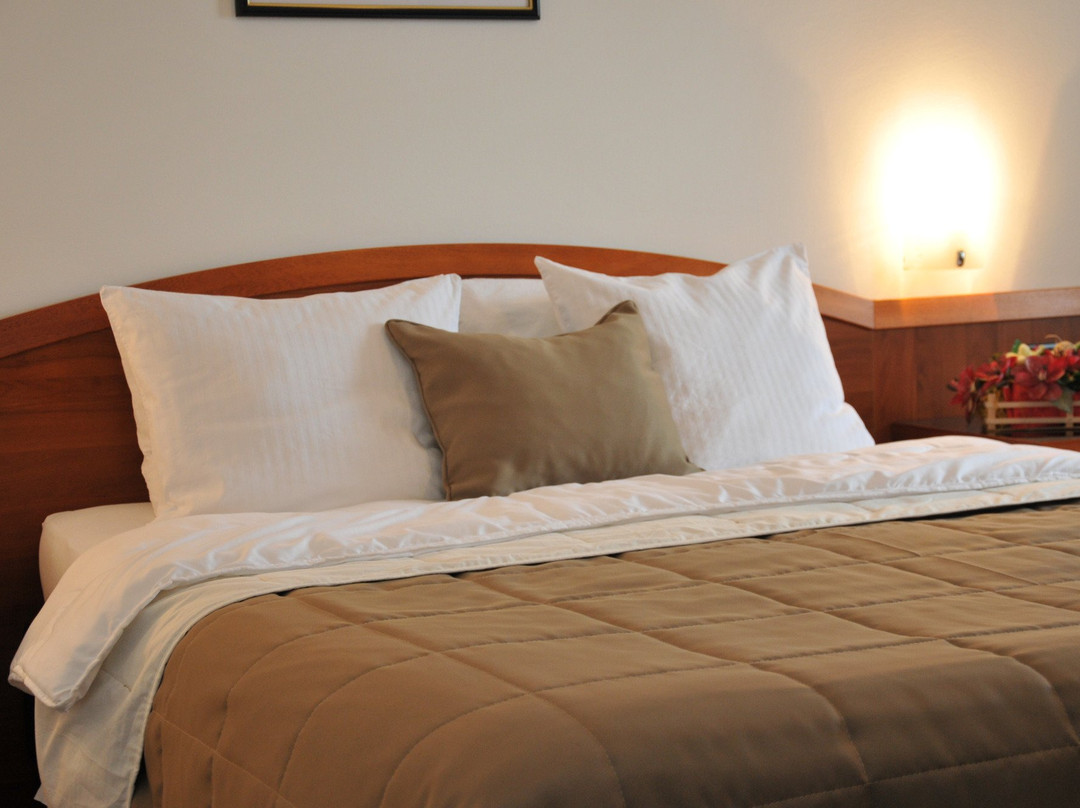 Hotel Terex主图