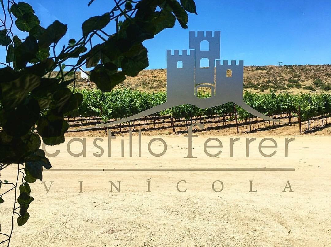 Castillo Ferrer Vinicola景点图片